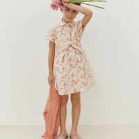 gisele dress
