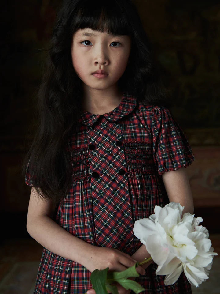 arcadia smocked dress