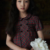 arcadia smocked dress