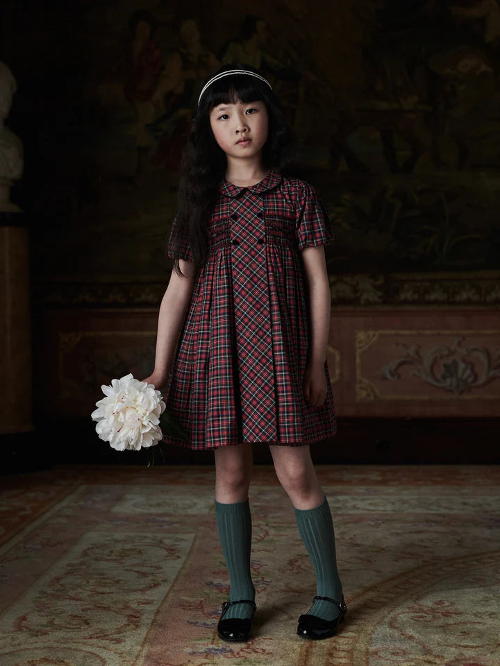 arcadia smocked dress