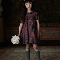 arcadia smocked dress