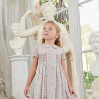 arcadia smock dress