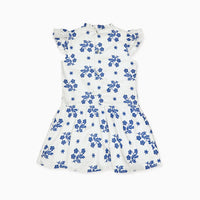 rita embroidered dress