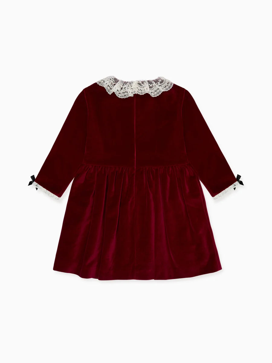 eva velvet dress