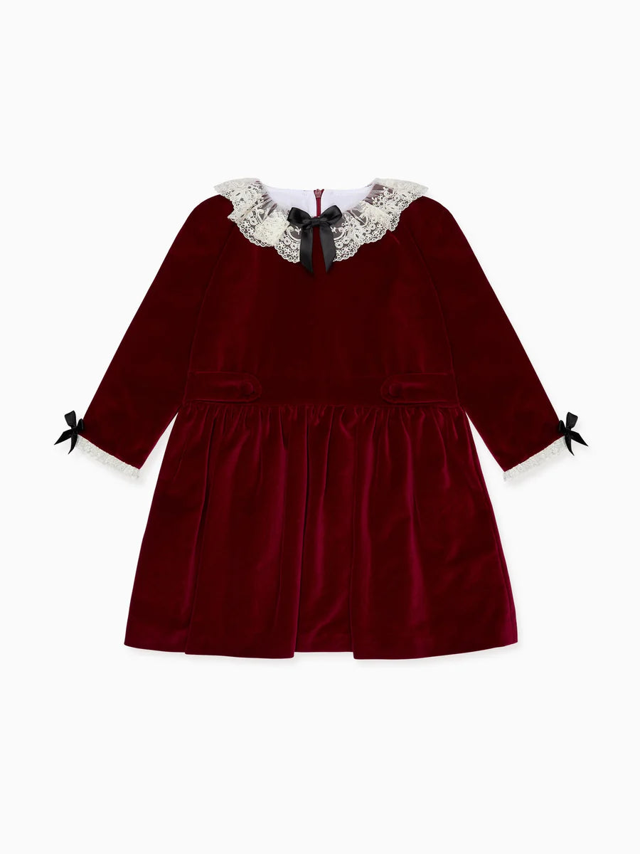 eva velvet dress