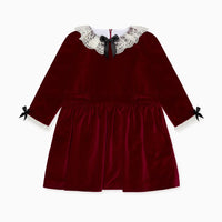 eva velvet dress