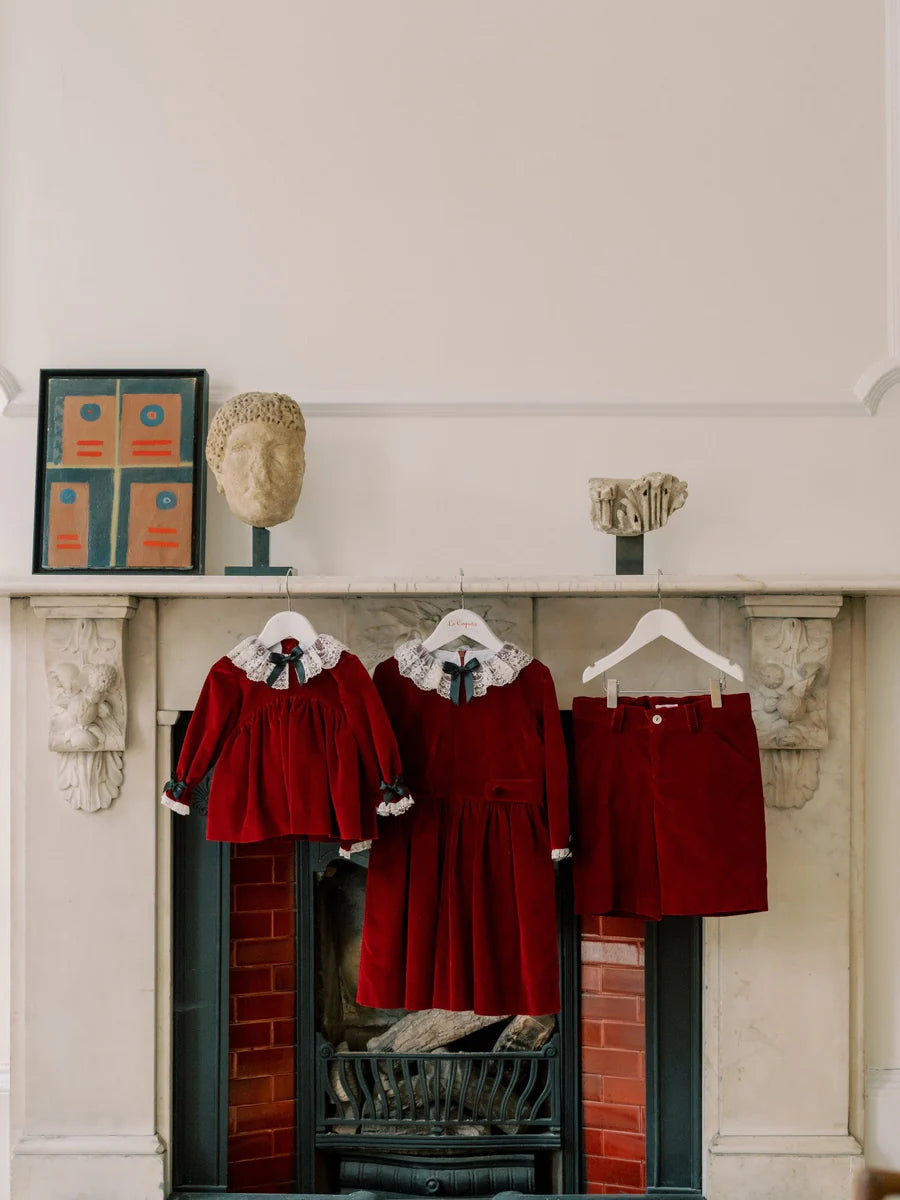 eva velvet dress