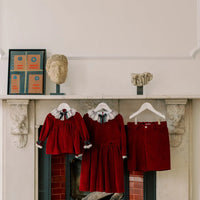 eva velvet dress