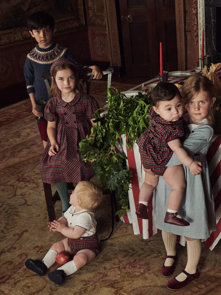arcadia smocked dress
