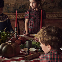 arcadia smocked dress