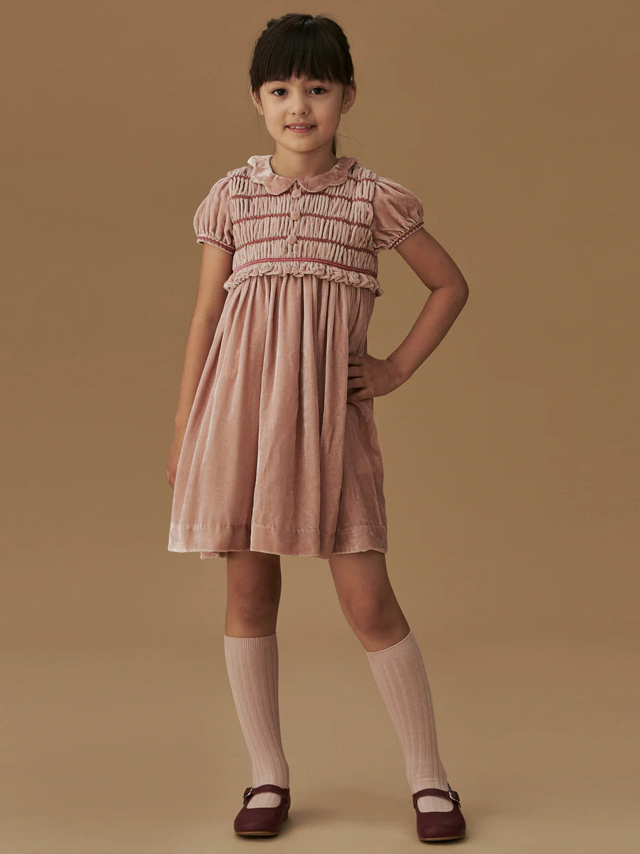 lurdes velvet dress