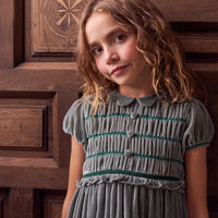 lurdes velvet dress