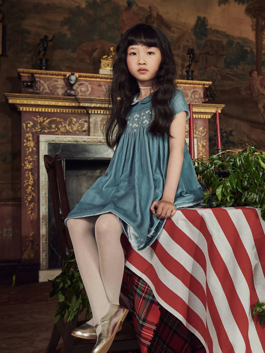 marcita velvet smocked dress