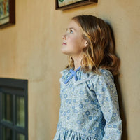 bb maribela dress