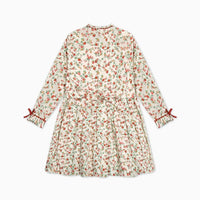 bb rosaura dress