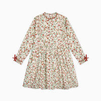 bb rosaura dress