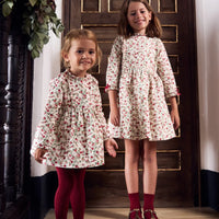 bb rosaura dress