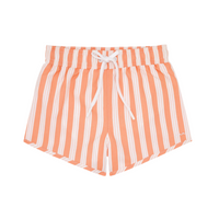 swizzle stripe boardie