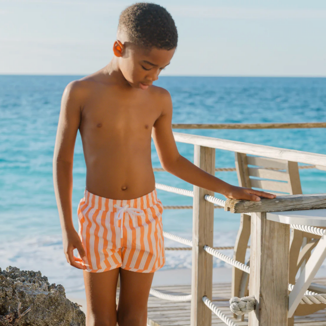 swizzle stripe boardie