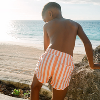 swizzle stripe boardie