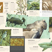 national parks of the usa book