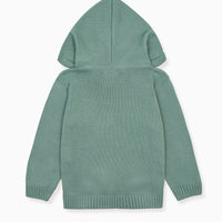 boys leo hoodie jumper sage