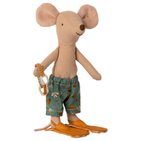 big brother beach mouse in cabin