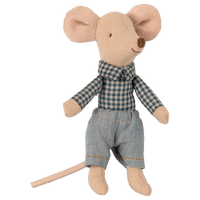 little brother mouse in matchbox
