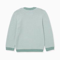 boys bromo jumper sage