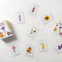 flower families: a go fish game