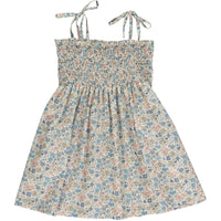 virginia dress vintage blue
