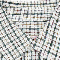 nico shirt green check