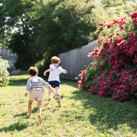 bb twill short