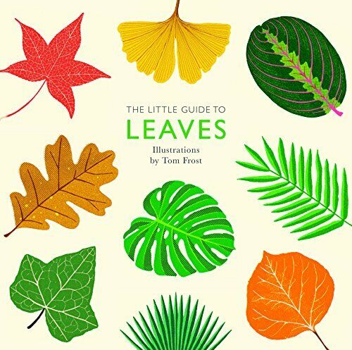 little guide to leaves  book