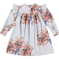 rookie ruffled ls dress
