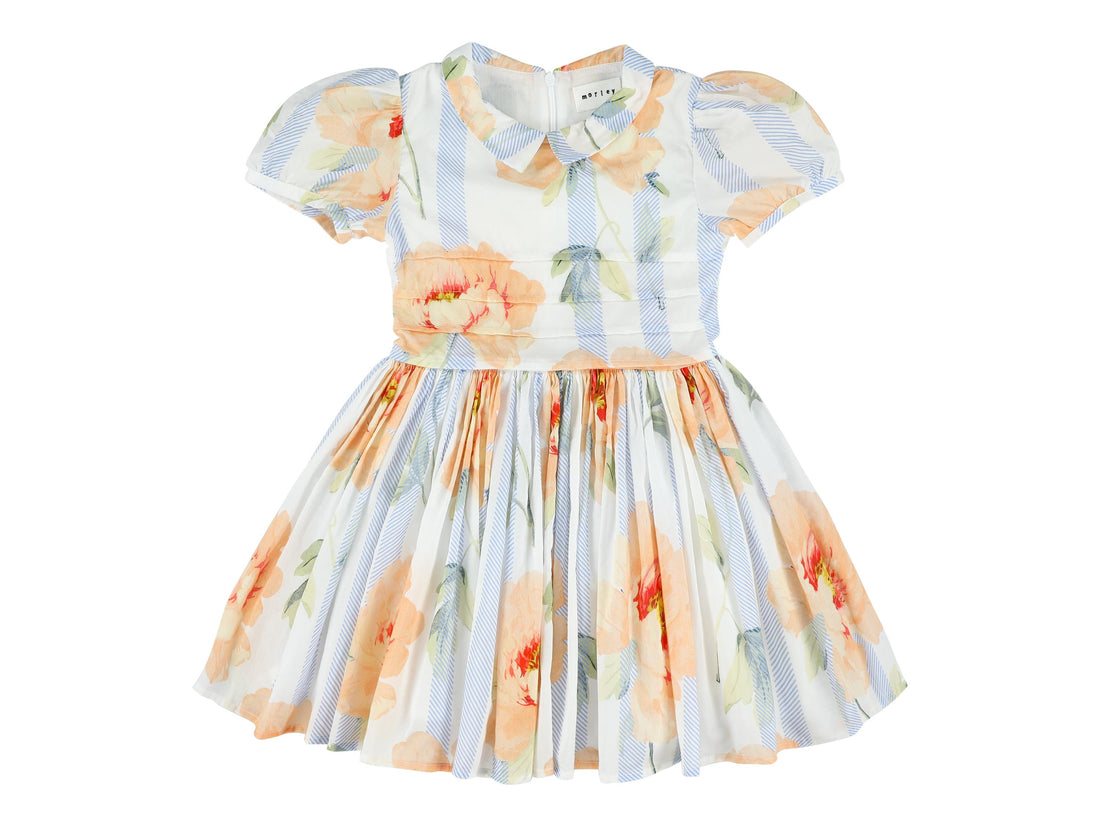 suri pleat chest dress