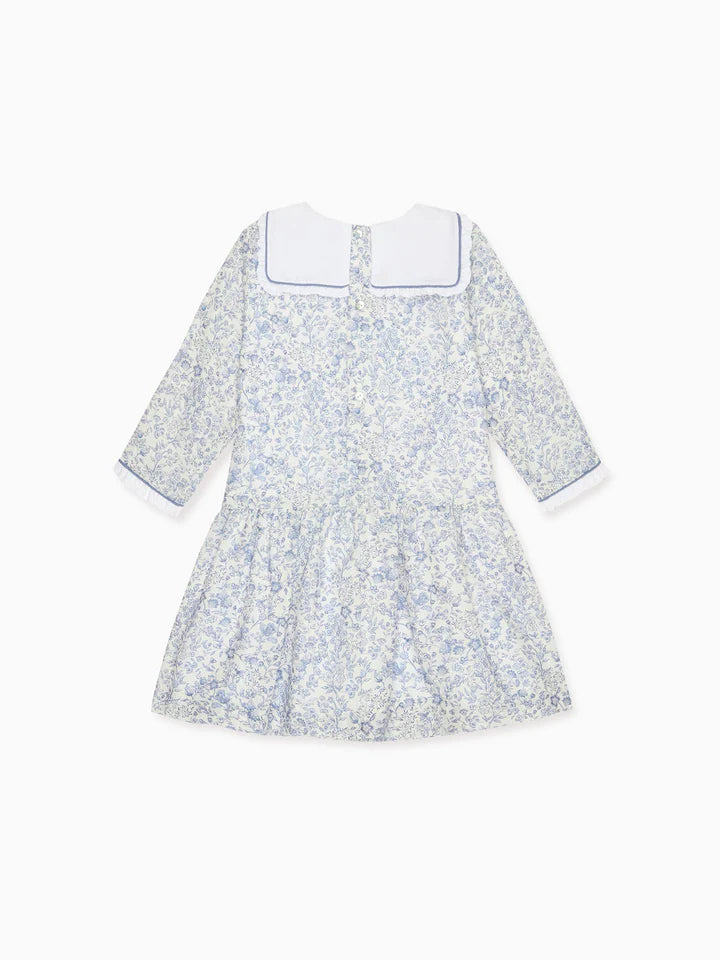 aranda drop waist dress