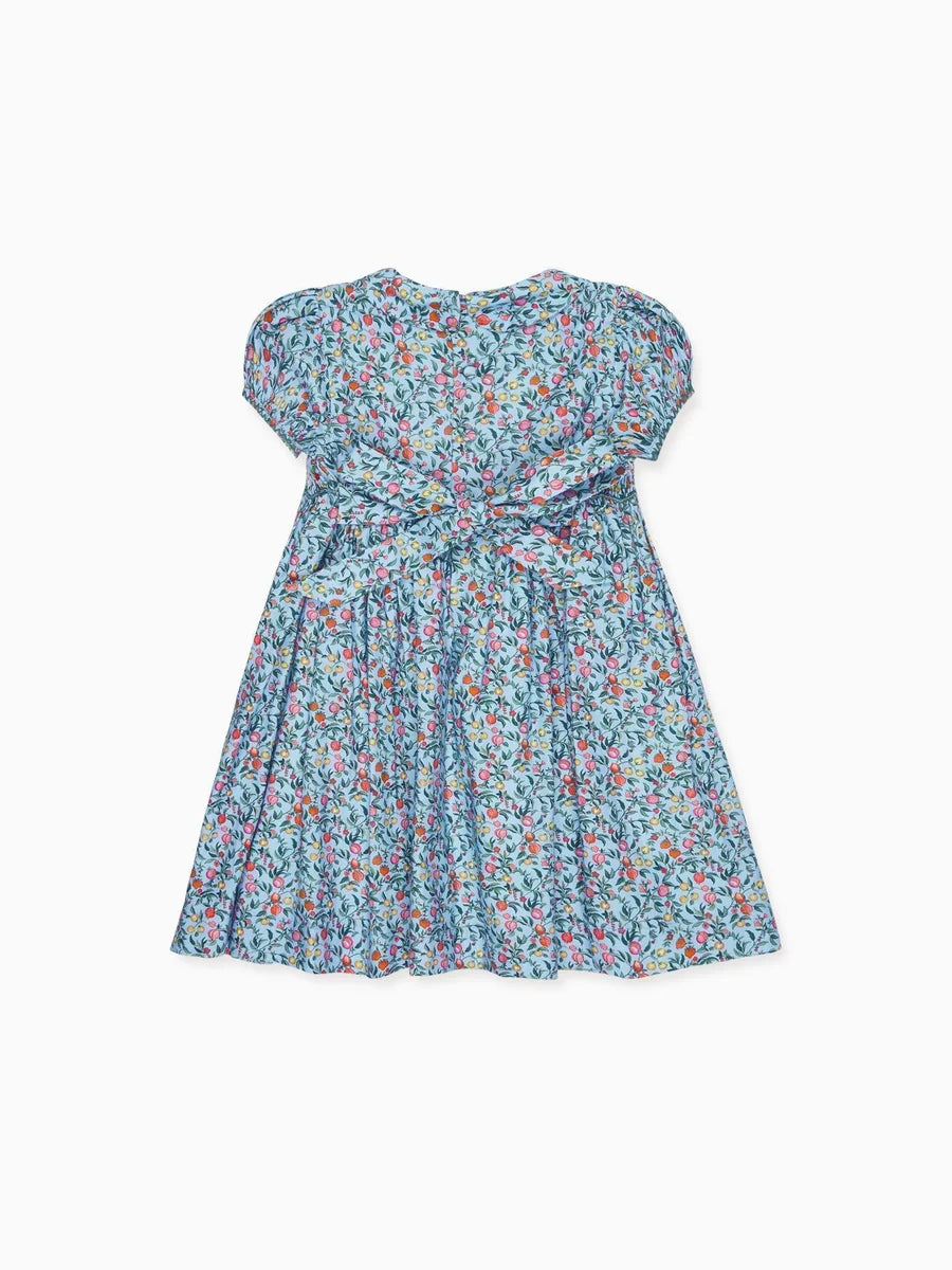 arcadia smocked dress