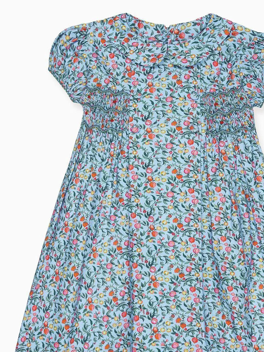 arcadia smocked dress