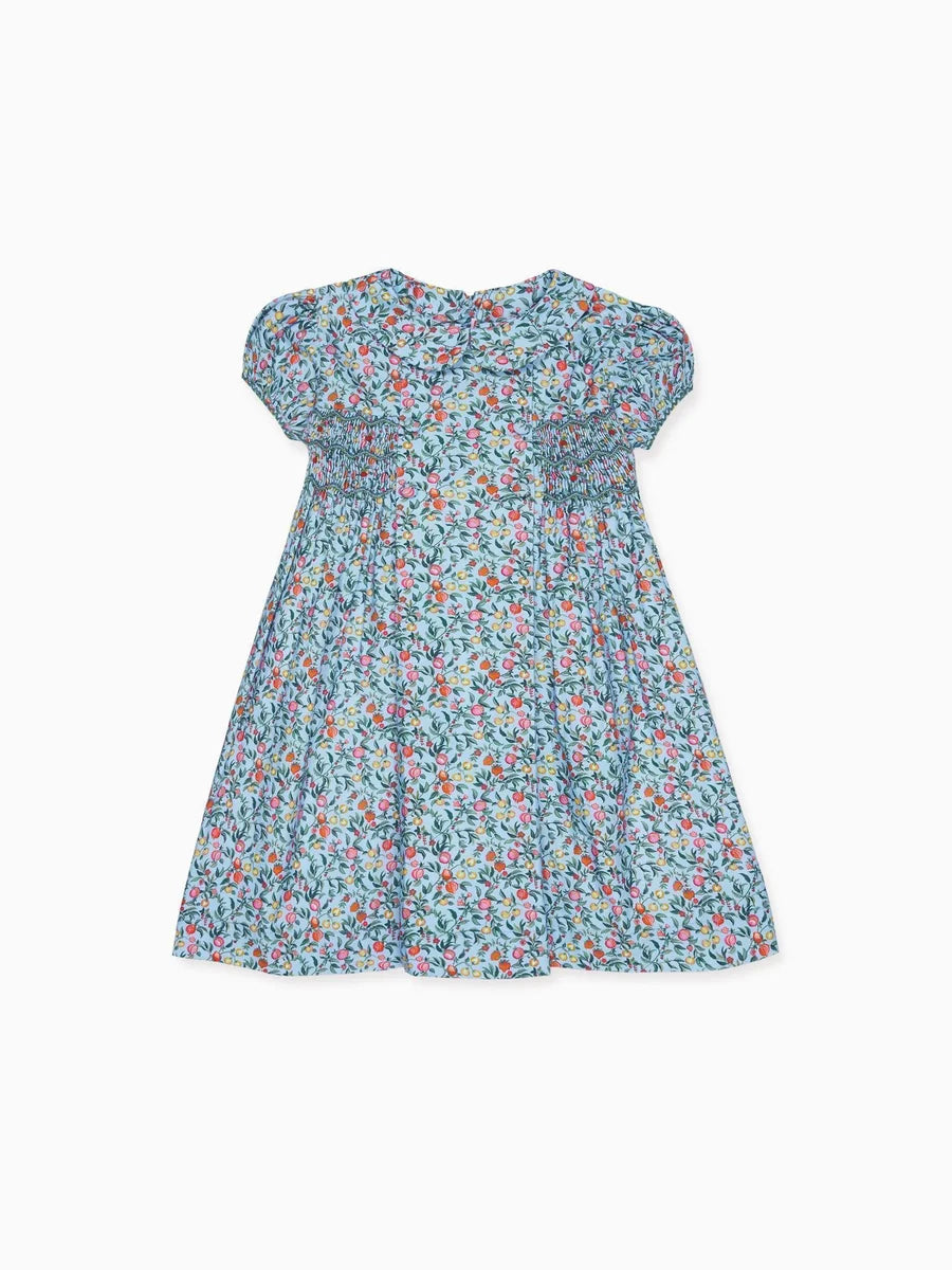 arcadia smocked dress