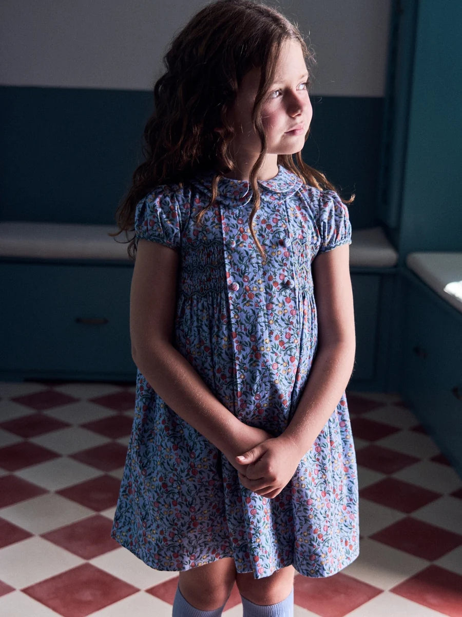 arcadia smocked dress