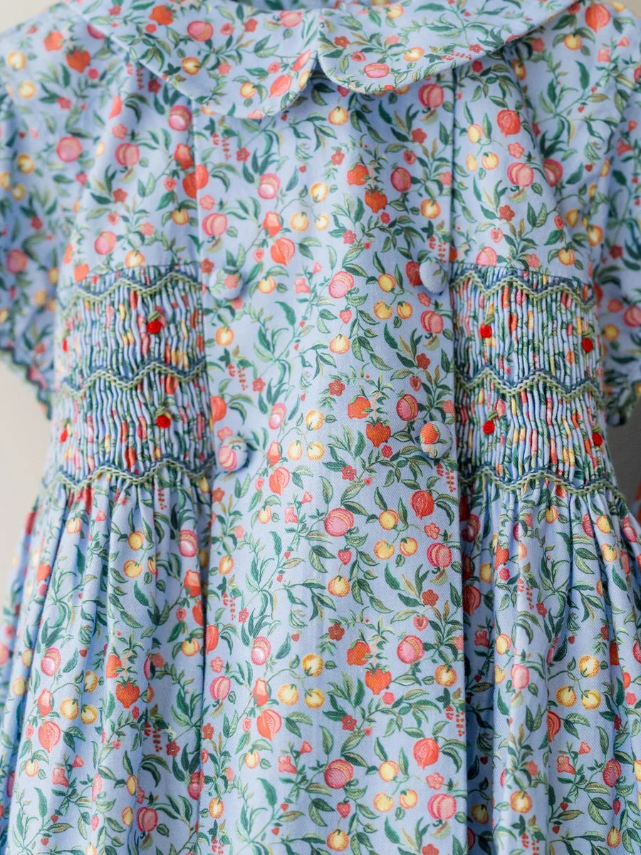 arcadia smocked dress