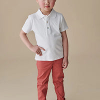 elio cotton chino