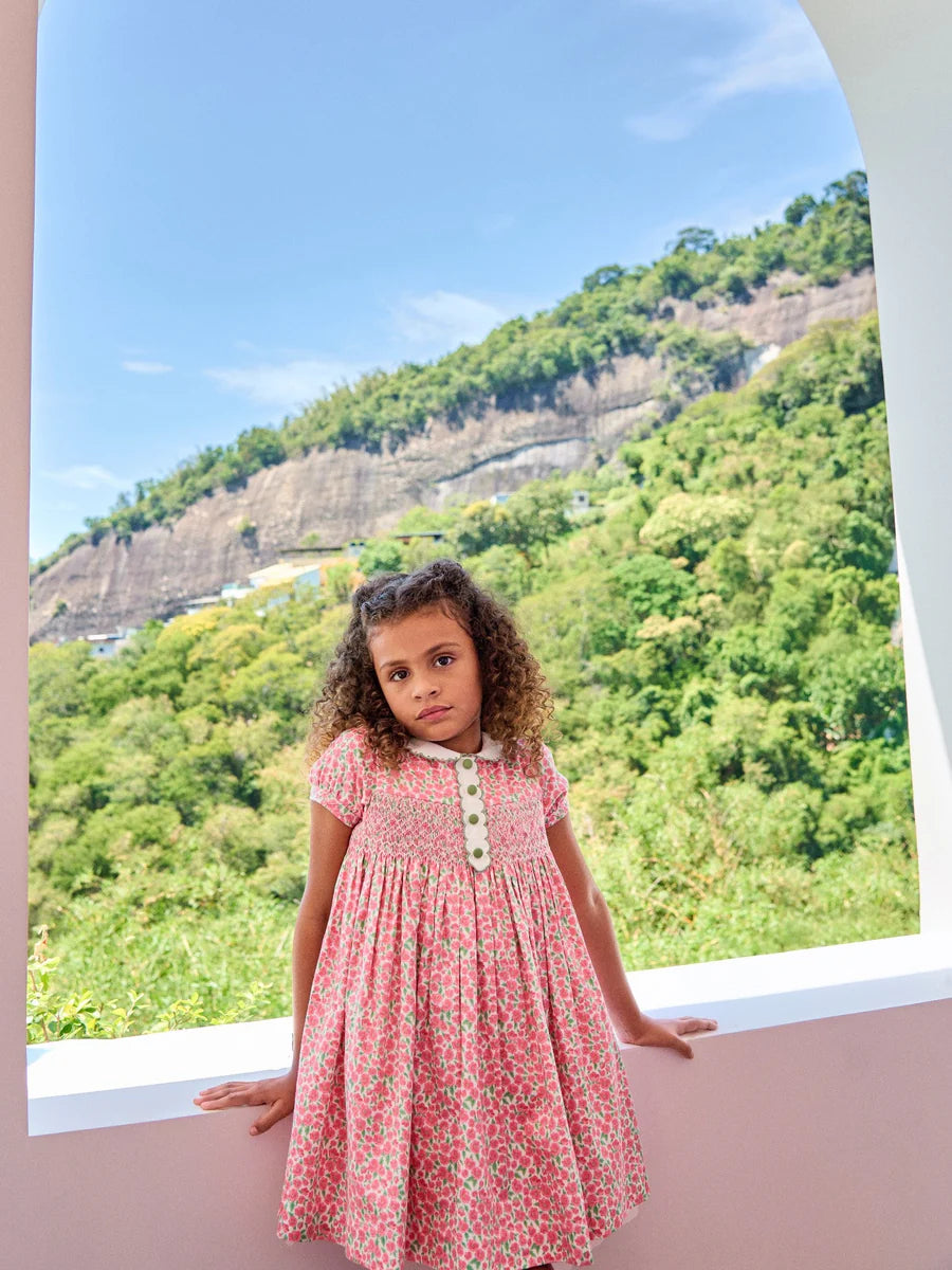 coco smocked dress