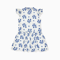 rita embroidered dress