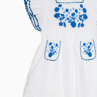 evelyn embroidered dress