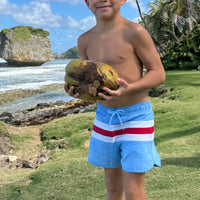 colorblock boardie C