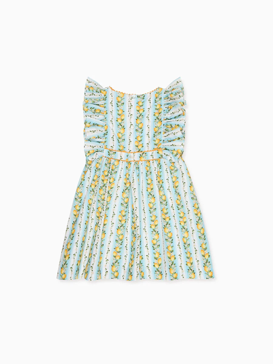bb limon dress