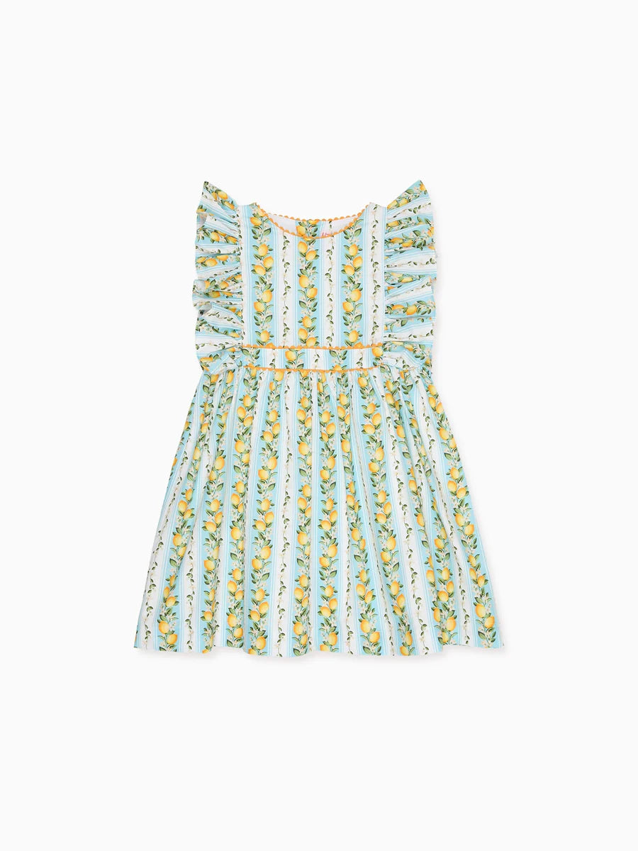 bb limon dress