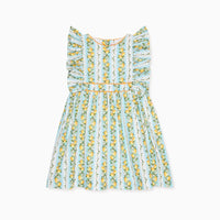 bb limon dress
